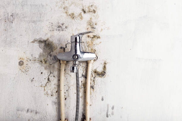 Home Mold Removal in Pulaski, NY