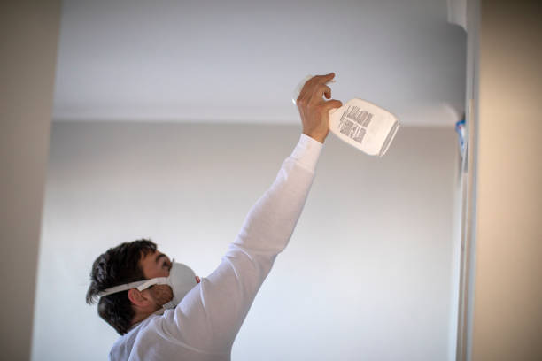 Mold Testing and Removal in Pulaski, NY