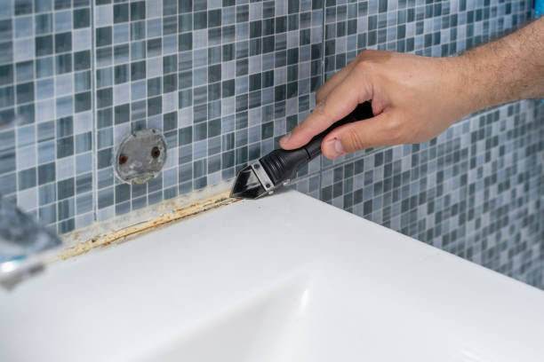 Best Mold Cleaning Services  in Pulaski, NY